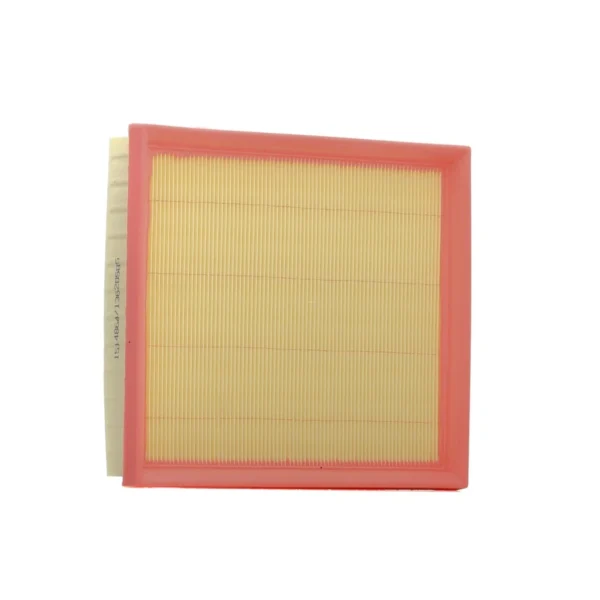 BMW 3 series air filter (F31)